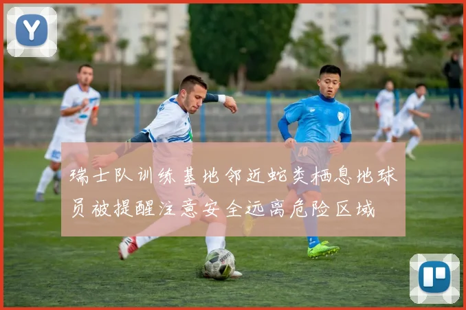 瑞士队训练基地邻近蛇类栖息地球员被提醒注意安全远离危险区域