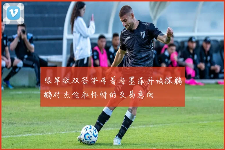 绿军欲双签字母哥与墨菲并试探鹈鹕对杰伦和怀特的交易意向