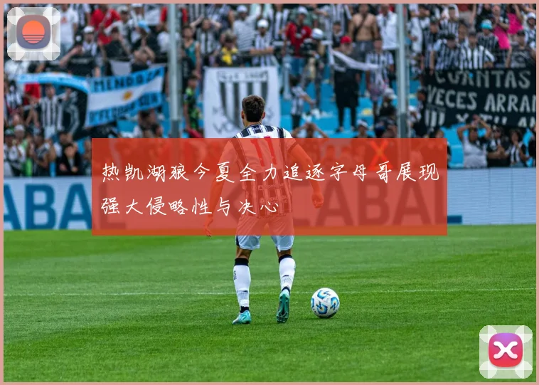 热凯湖狼今夏全力追逐字母哥展现强大侵略性与决心