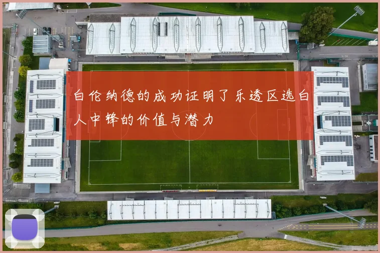 白伦纳德的成功证明了乐透区选白人中锋的价值与潜力
